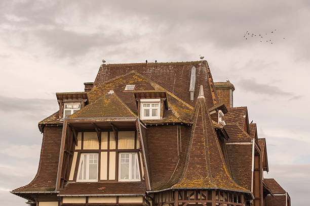 istock roofs of Etretat 518496897