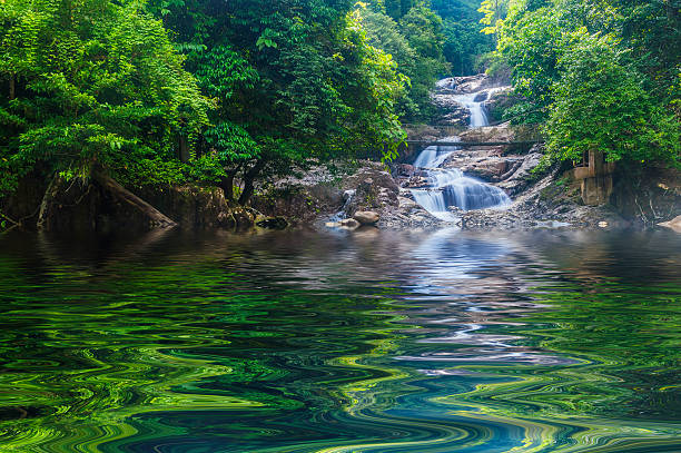 cascata - awe beauty in nature waterfall cool imagens e fotografias de stock