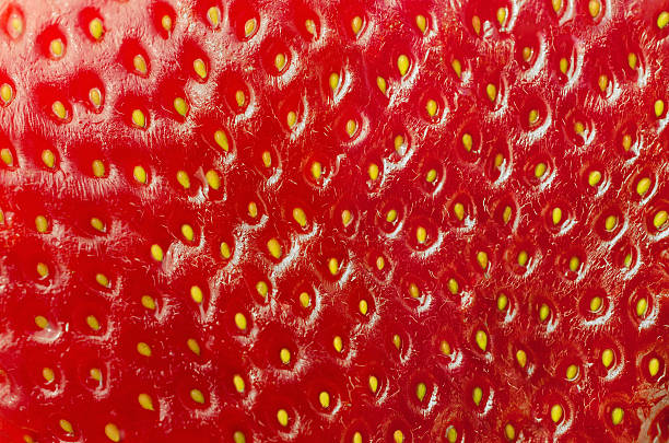 texture de macro fraises - skin texture photos et images de collection