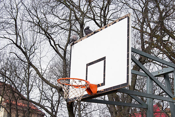 istock basketball hoop outdoors 518499122