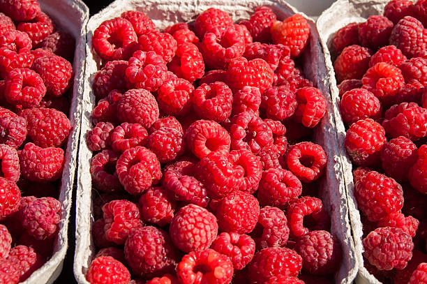 istock red  raspberries in a paper box 518499752