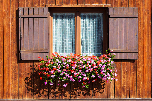 Wooden window with shutters open on and flowers in hanging flower tray