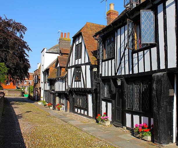 istock Tudor Neighborhood 518500795