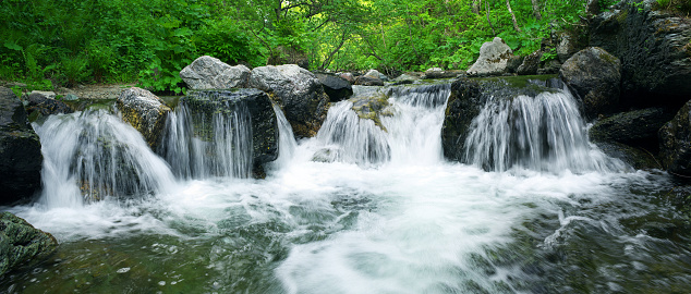 Yet stones in clean flowing water stream. green plant forest, photomerge