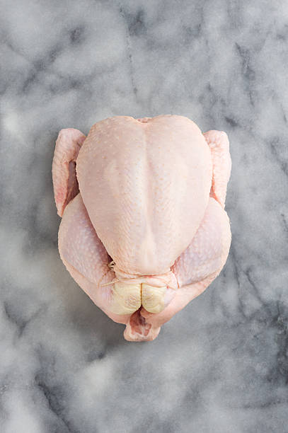 Raw whole chicken on a marble slab stock photo