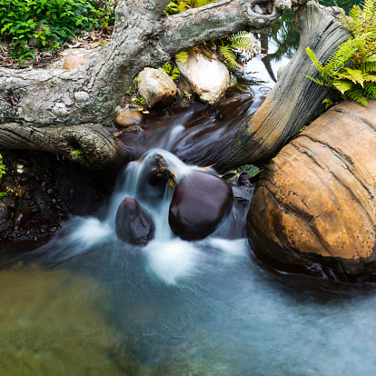 View of the Wiesent river in Franconian Switzerland/Germany with its fresh, crystal-clear water