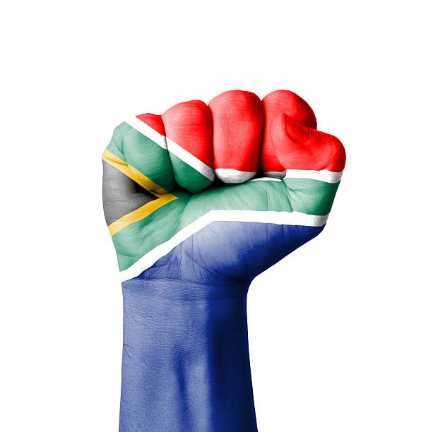 Fist of South Africa flag painted stock photo