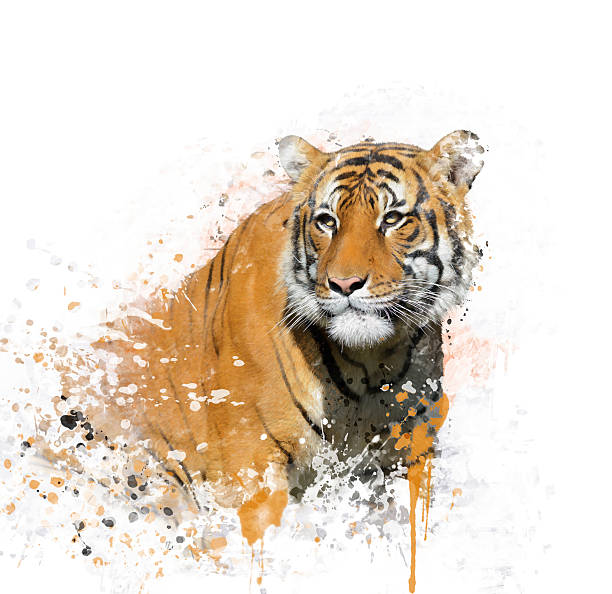 istock Tiger Portrait Watercolor 518502850