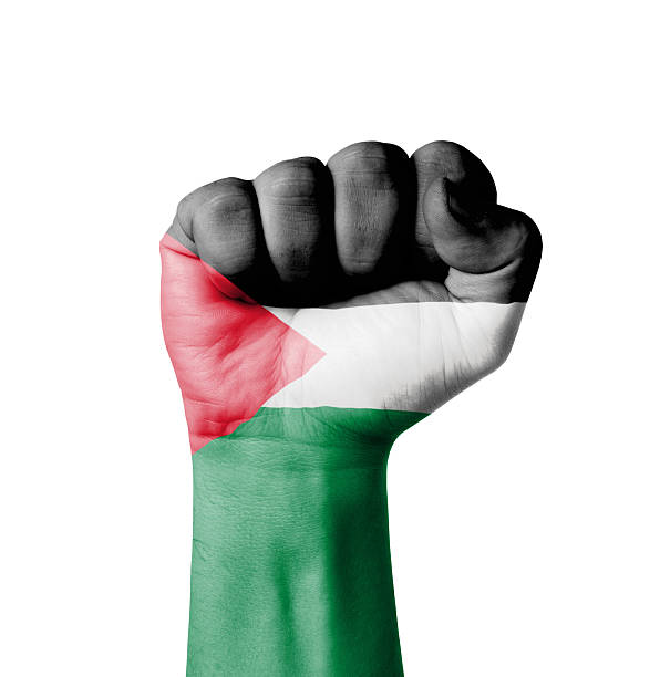 Fist of Palestine flag painted stock photo