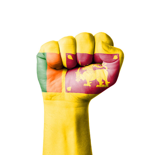 istock Fist of Sri Lanka flag painted 518502901