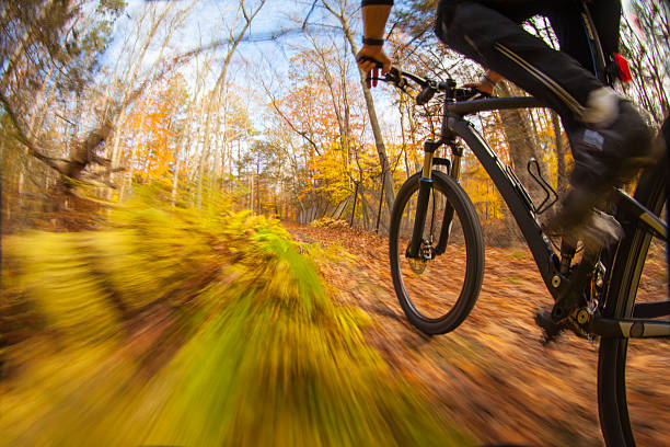 istock Mountain biking along a trail through the woods 518502902