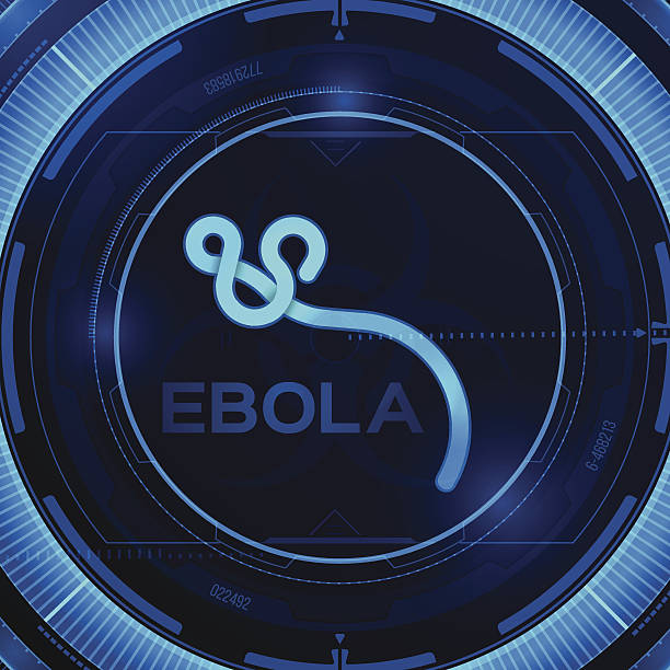 Ebola Ebola virus magnified concept. EPS 10 file. Transparency effects used on highlight elements. ebola stock illustrations