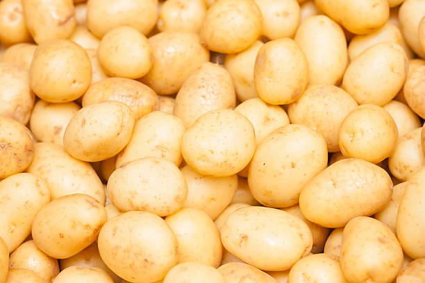 Background potatoes Close-up of a fresh raw potatoes background raw potato photos stock pictures, royalty-free photos & images
