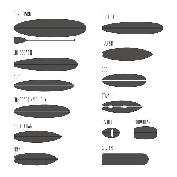 Set of surfboard types, silhouettes in scale Set of surfboard types, silhouettes in scale. Different shapes isolated Infographics  body board stock illustrations