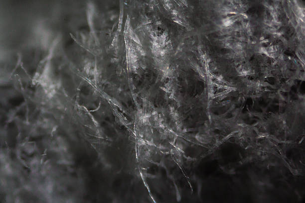 istock Tissue paper fibers under the microscope 518522352