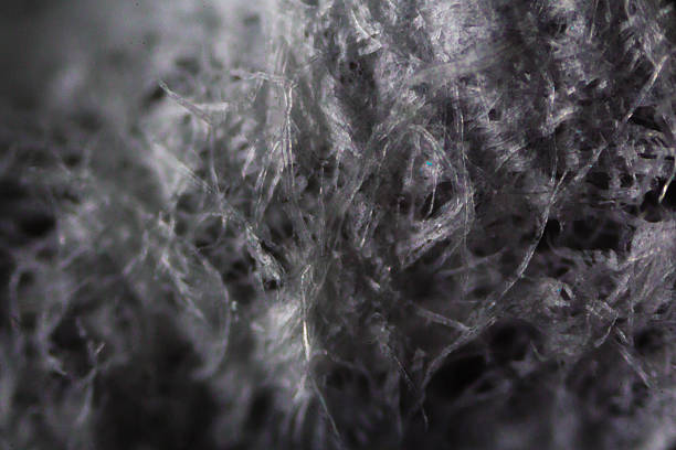 istock Tissue paper fibers under the microscope 518522400