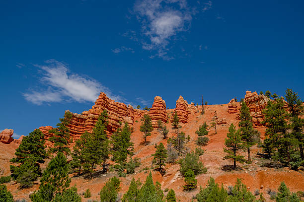 istock bryce canyon national park utah 518524133