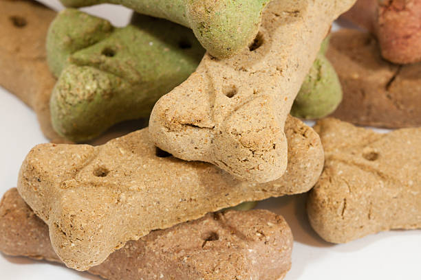 istock Dog Treats up close 518524865