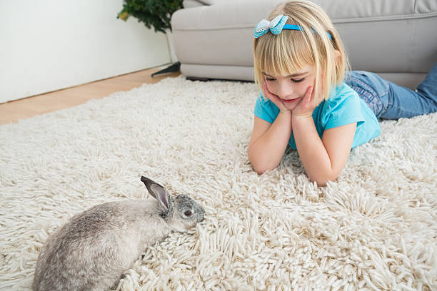 istock Little girl lying on rug with rabbit 518525001