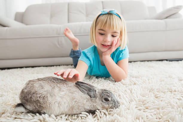 istock Little girl lying on rug stroking the rabbit 518525003