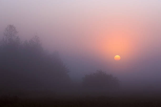 Sunrise through the fog stock photo