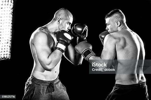 Boxers Stock Photo - Download Image Now - Boxing - Sport, Fighting, Boxing Ring