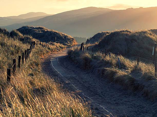 Sunrise through sand dunes stock photo