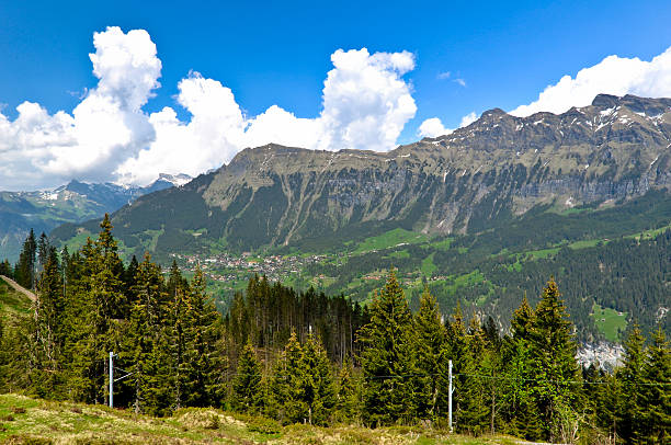 bellissimo mountain valley - jungfrau region foto e immagini stock