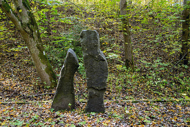 Photo of rocks in the forest, Nature photography.