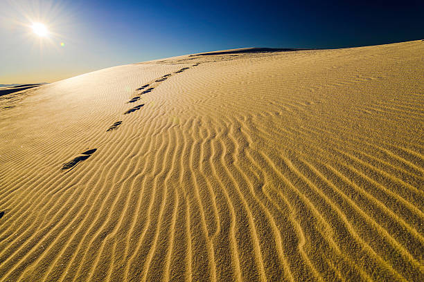 istock Rippled Sand Dunes at sunrise 518528204