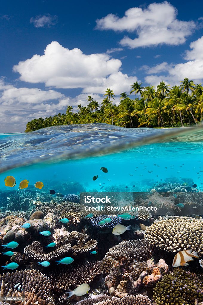 Tropical Reef - Cook Islands - South Pacific A coral reef in a tropical lagoon at Aitutaki in the Cook Islands in the South Pacific Ocean. Cook Islands Stock Photo