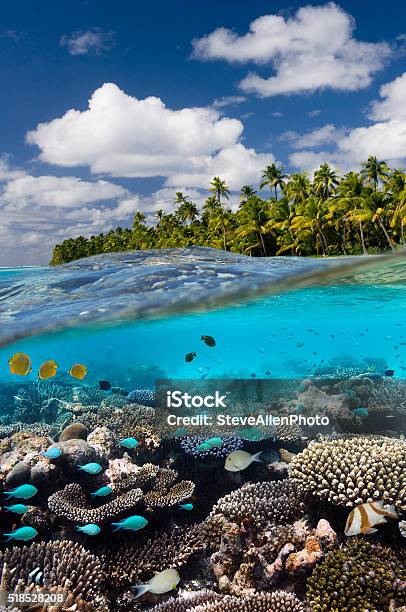 Tropical Reef Cook Islands South Pacific Stock Photo - Download Image Now - Cook Islands, Aitutaki, Atoll