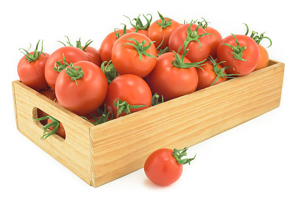 istock Ripe red tomatoes in woden box on white background. 518528732