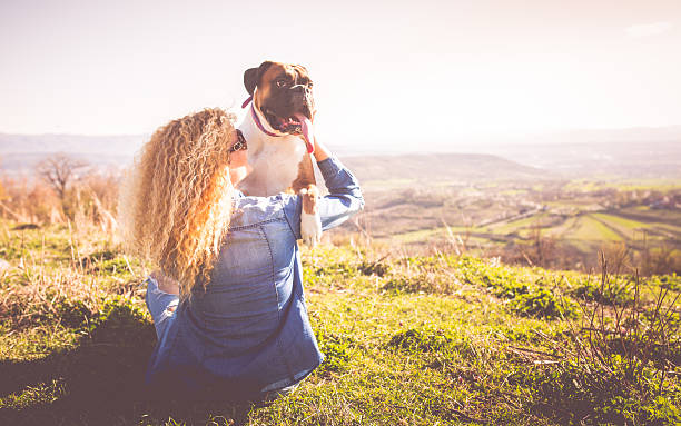 seus amigos - boxers imagens e fotografias de stock