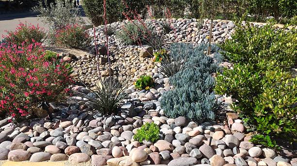 istock Xeriscaped Front Yard with Dry Creek Bed and Solar Lighting 518534402