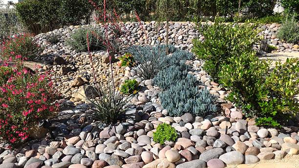 istock Xeriscaped Front Yard with Dry Creek Bed and Solar Lighting 518534518