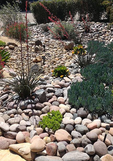 istock Xeriscaped Front Yard with Dry Creek Bed and Solar Lighting 518534772