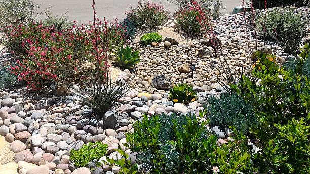 istock Xeriscaped Front Yard with Dry Creek Bed and Solar Lighting 518534836