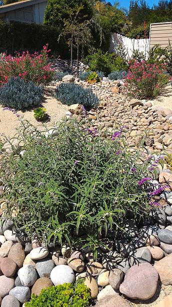 istock Xeriscaped Front Yard with Dry Creek Bed 518534890