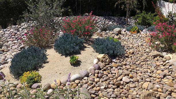 istock Xeriscaped Front Yard with Dry Creek Bed 518534972