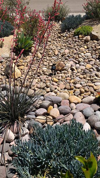 istock Xeriscaped Front Yard with Dry Creek Bed and Solar Lighting 518535064