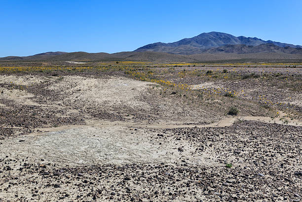 istock Ash Meadows National Wildlife Refuge, California 518536944