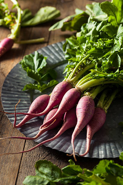 istock Raw Organic Purple Radishes 518537184