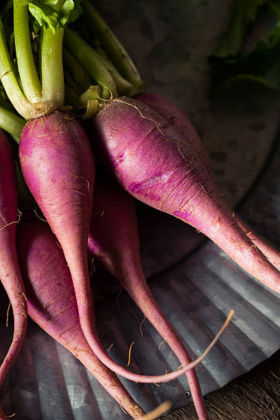 istock Raw Organic Purple Radishes 518537206