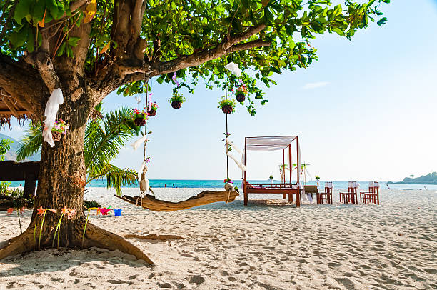 istock Swing hanging under a big trees for wedding ceremony decoration 518537678