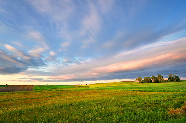 istock Countryside view of the meadows and cultivated fields 518546195