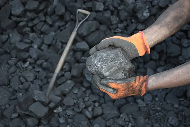 Coal in the gloves of the working