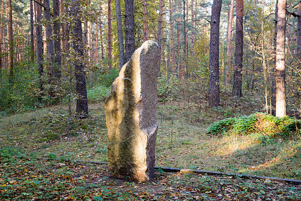 Photo of lone rock in the forest, Nature photography.