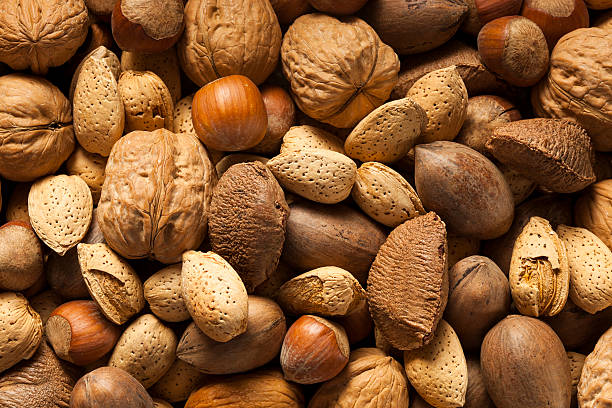 istock Assortment of Whole Raw Mixed Nuts 518549895