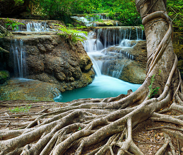 istock banyan tree and lime stone waterfalls in deep forest 518552215